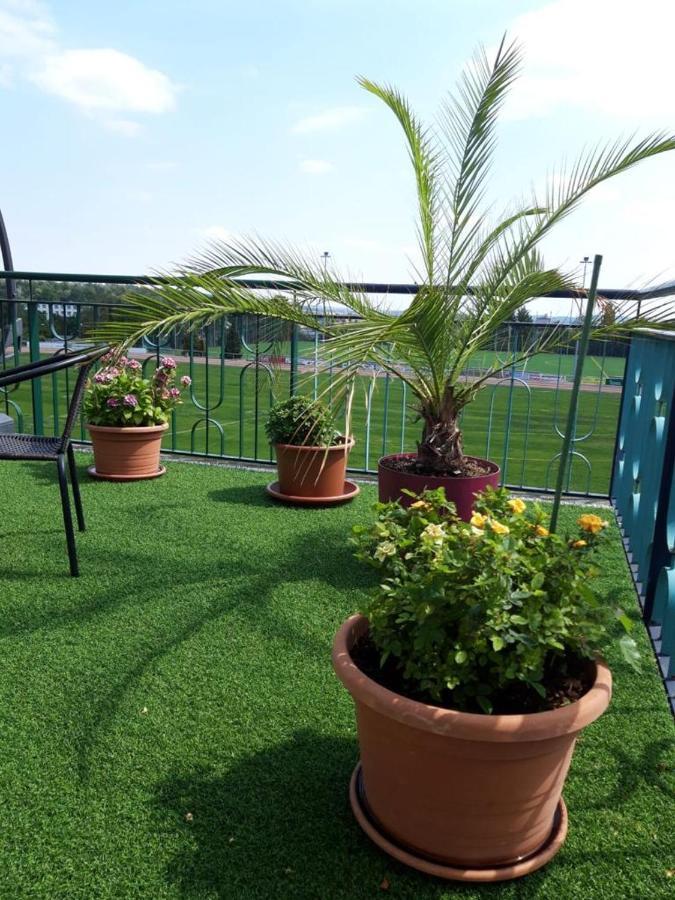Hotel Zum Sportforum Blankenburg  Exteriör bild